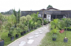 Agromania Garden Center