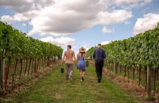 Sucesso na primeira edição 'Circuito do Vinho' tem roteiro reeditado e visita oito vinícolas pela Região Uva e Vinho