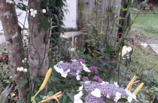 As flores, o amor e a minha mãe