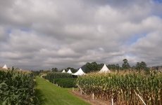 Cravil realiza Dia de Campo nos dias 30 e 31 de janeiro