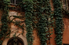 Fashion Specialist desfila diferentes estilos em projeto realizado na Europa