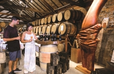 Novo roteiro 'Circuito do Vinho' faz imersão de seis dias em 14 vinícolas da Região Uva e Vinho