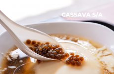 CASSAVA S/A: uma das Maiores Empresas do Sul do país