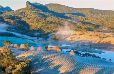 Serra Catarinense: região encanta pelos bons vinhos e belas paisagens