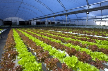 BeGreen inaugura a primeira fazenda urbana dentro de uma indústria no mundo