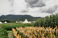 Cravil realiza Dia de Campo nos dias 30 e 31 de janeiro