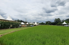 Cravil realiza Dia de Campo nos dias 30 e 31 de janeiro