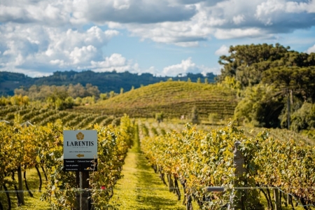 Roteiro inédito por vinícolas da Serra é resultado de parceria entre Giordani Turismo e maior canal de vinhos das Américas