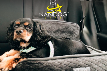 Grife pet de Los Angeles comemora um ano da sua chegada ao Brasil lançando o Nandog Stars