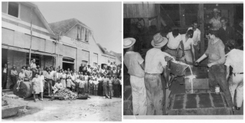 RIO celebra 80 anos com ampliação do parque fabril e investimentos em tecnologia e inovação