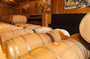 Fapesc investe R$ 1 milhão em novos estudos para produção de vinho e uva em Santa Catarina
