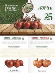 Revista Sucesso - Edição 170 | Página 41