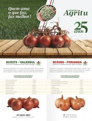 Revista Sucesso - Edição 169 | Página 17