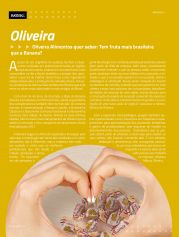 Revista Sucesso Inovação - Edição 01 | Página 62